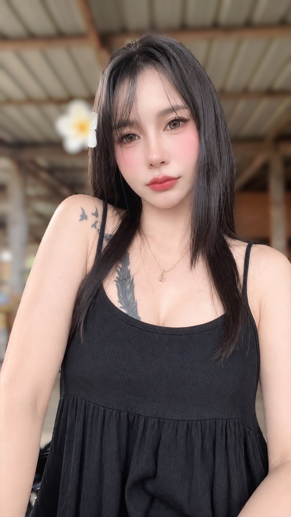 媒體 8
